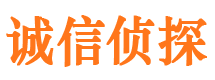 上街市私家侦探公司